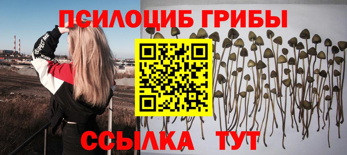 Псилоцибиновые грибы прущие грибы Кореновск