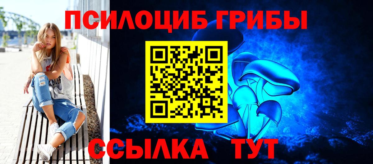 Псилоцибиновые грибы ЛСД  Вход с VPN  Кореновск  Псилоцибиновые грибы мицелий 